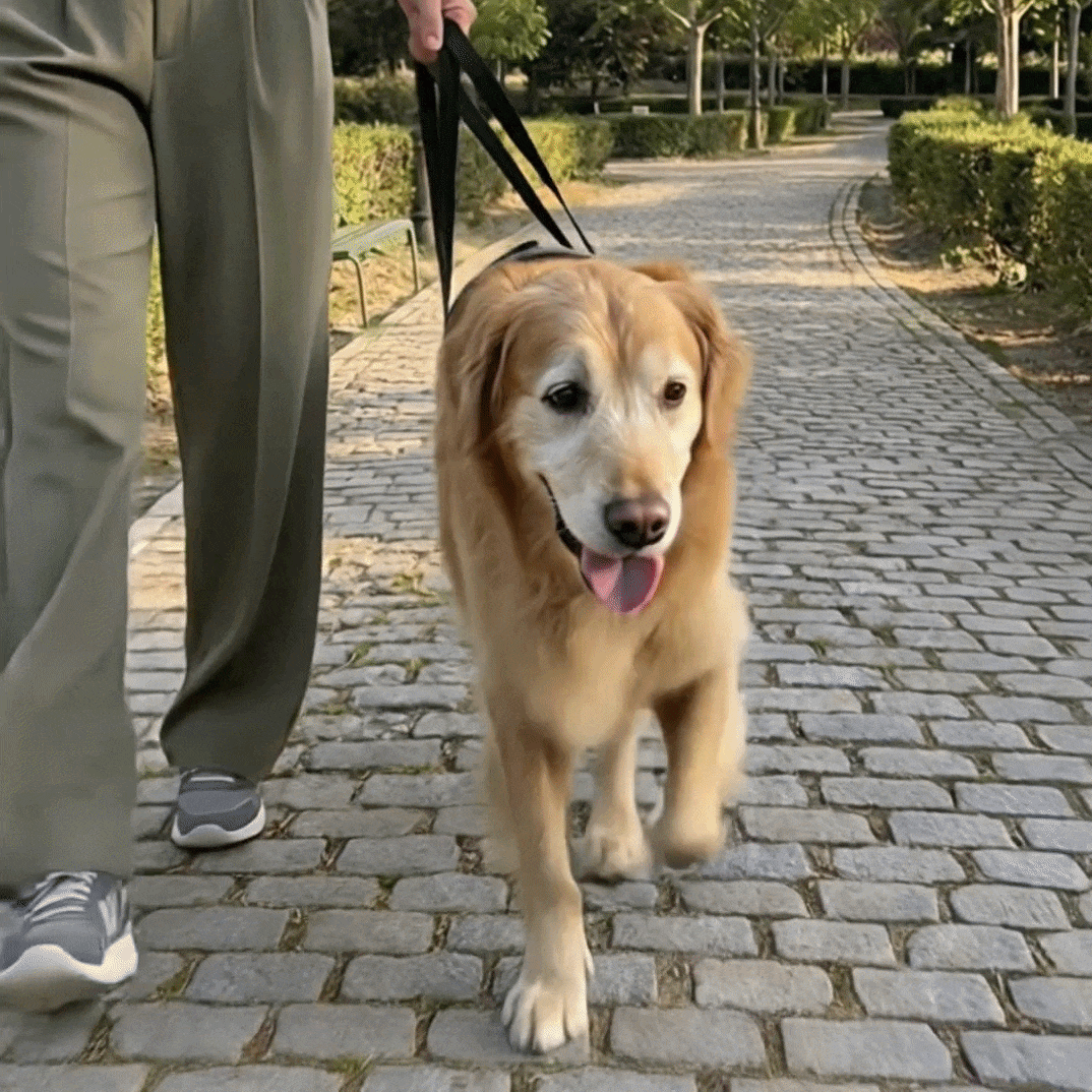 Arnés de Movilidad para Perros