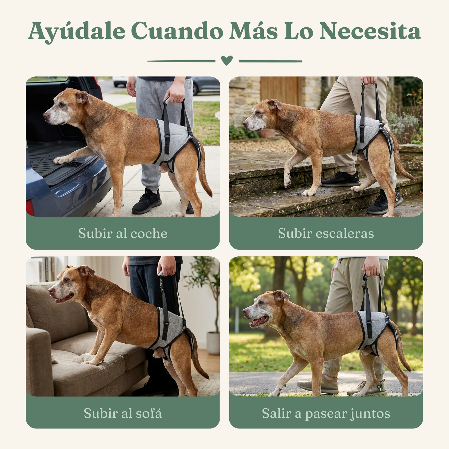 Arnés de Movilidad para Perros