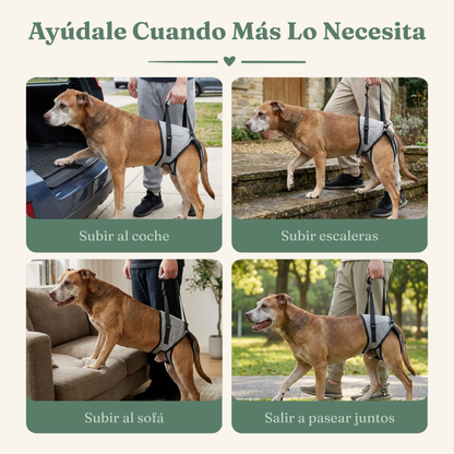 Arnés de Movilidad para Perros
