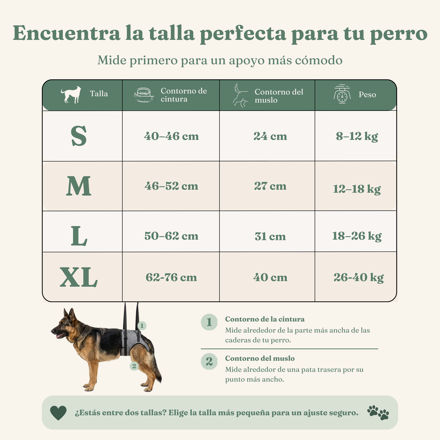 Arnés de Movilidad para Perros