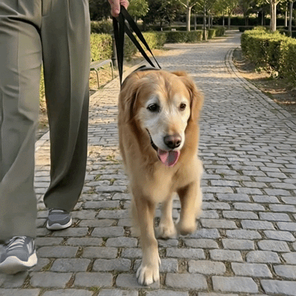 Arnés de Movilidad para Perros